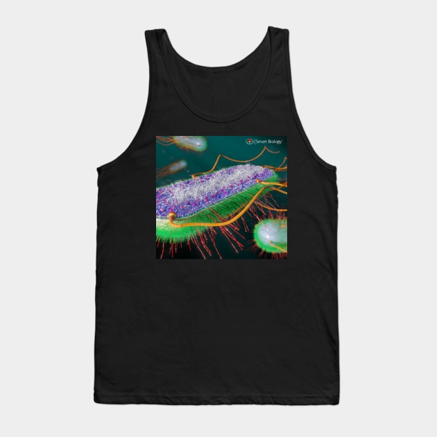 E.coli Cross-Section Tank Top by Smart Biology